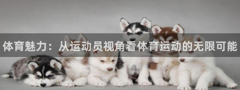 一竞技官网下载联系电话：体育魅力：从运动员视角看体育