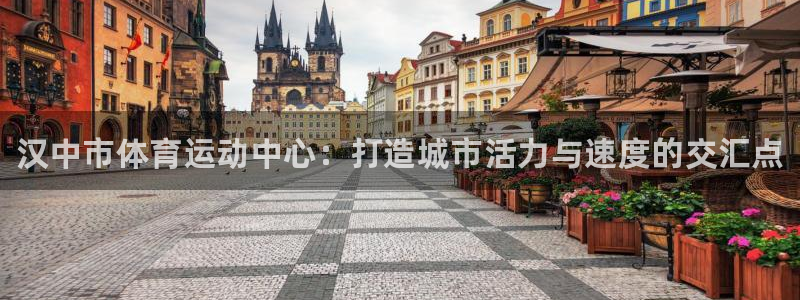 一竞技官方正版app五金厂：汉中市体育运动中心：打造