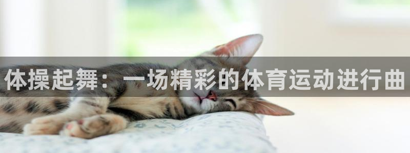 一竞技官方正版app官方：体操起舞：一场精彩的体育运