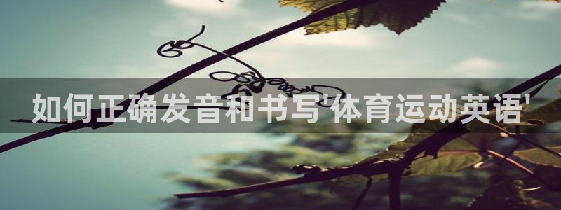 一竞技官方正版app集团官网网址：如何正确发音和书写