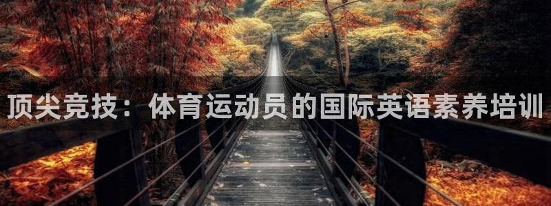 一竞技官网下载招商电话地址是多少：顶尖竞技：体育运动员的国际