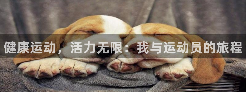 一竞技官方正版app神州：健康运动，活力无限：我与运动员的旅