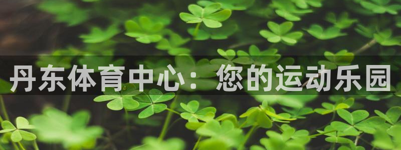 一竞技官网下载平台注册流程图：丹东体育中心：您的运动