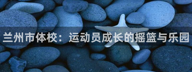 海南一竞技官网下载