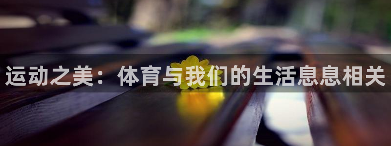 海南一竞技官网下载发展怎么样：运动之美：体育与我们的