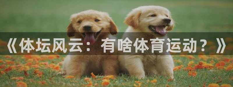 一竞技官方正版app集团：《体坛风云：有啥体育运动？