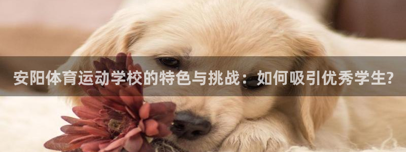一竞技官方集团官网：安阳体育运动学校的特色与挑战：如