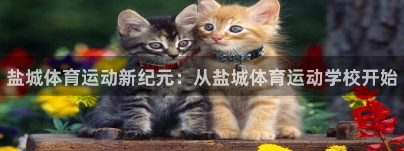 一竞技官方正版app娱乐40996：盐城体育运动新纪元：从盐