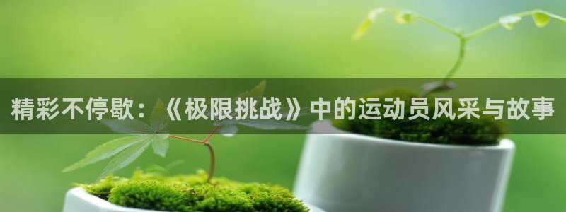 一竞技官网下载平台注册要钱吗是真的吗：精彩不停歇：《