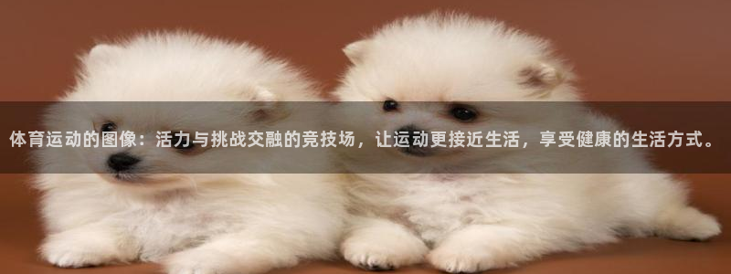 一竞技官网下载招商电话是多少啊：体育运动的图像：活力与挑战交
