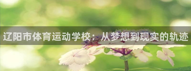 德国一竞技官方正版app集团：辽阳市体育运动学校：从梦想到现
