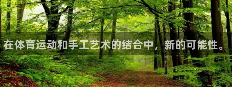 注册一竞技官方正版app：在体育运动和手工艺术的结合中，新的