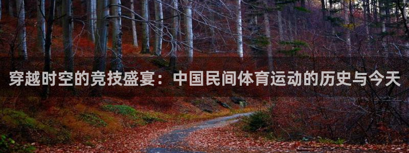 一竞技官网下载招商电话号码是多少：穿越时空的竞技盛宴：中国民