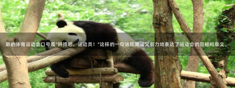 一竞技官网下载招商电话是多少号码：新的体育运动会口号是\