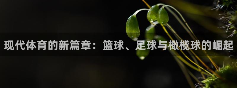 一竞技官方正版app集团E.ON：现代体育的新篇章：篮球、足