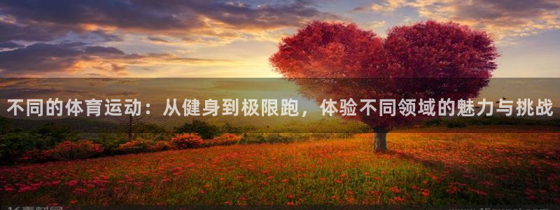 一竞技官网下载联系电话