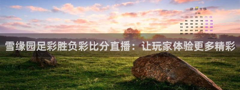 857足球直播免费观看高清：雪缘园足彩胜负彩比分直播：让玩家体验更多精彩