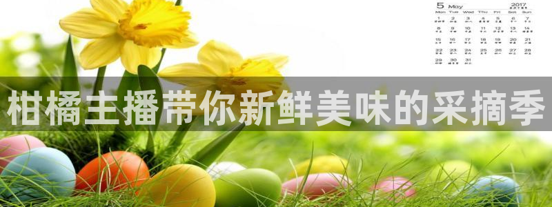 857直播体育直播：柑橘主播带你新鲜美味的采摘季
