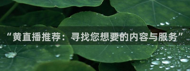 857体育直播平台：“黄直播推荐：寻找您想要的内容与服务”