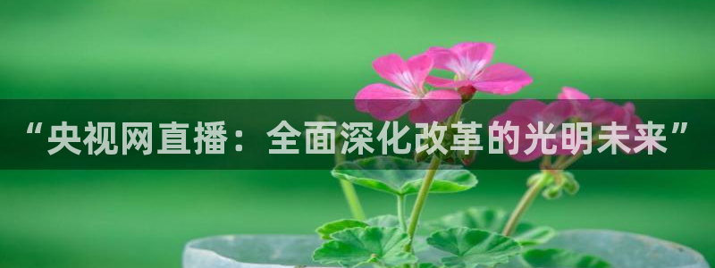 857体育nba免费直播在线直播：“央视网直播：全面深化改革的光明未来”