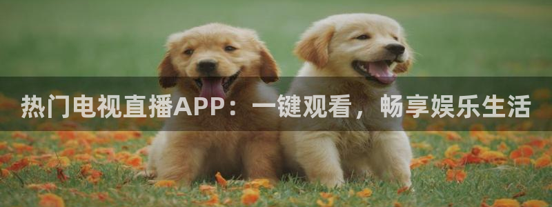 857直播体育篮球：热门电视直播APP：一键观看，畅享娱乐生活