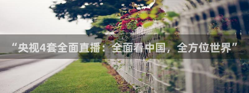 857体育直播回放：“央视4套全面直播：全面看中国，全方位世界”