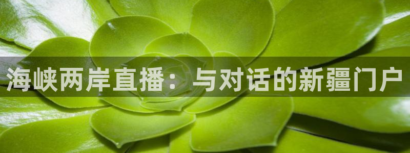 857免费nba直播：海峡两岸直播：与对话的新疆门户